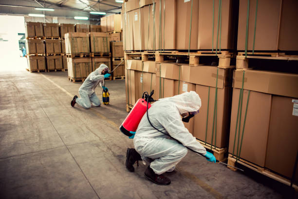 Best Ant Control Services  in Energy, IL