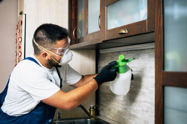 Professional Pest Control in Energy, IL