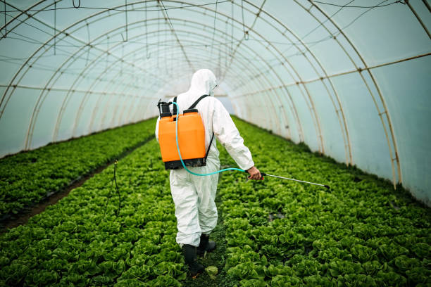Best Residential Pest Control  in Energy, IL