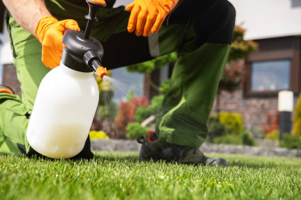 Best Bird Control  in Energy, IL