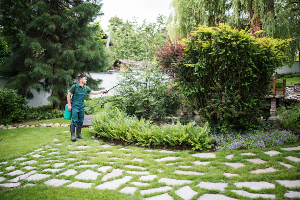Best Mosquito Control Services  in Energy, IL