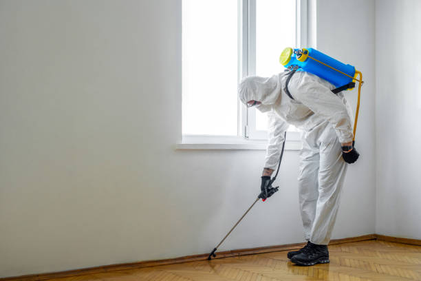 Best Exterminator Services  in Energy, IL