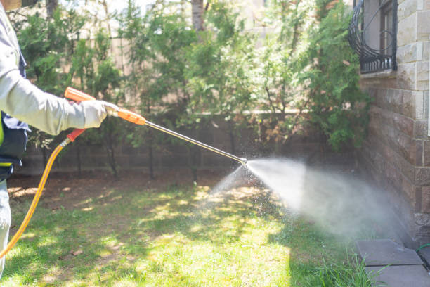 Flea Control Services in Energy, IL