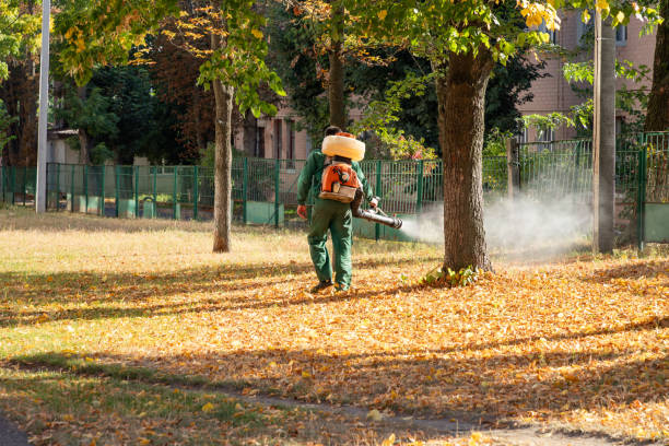 Best Emergency Pest Control  in Energy, IL