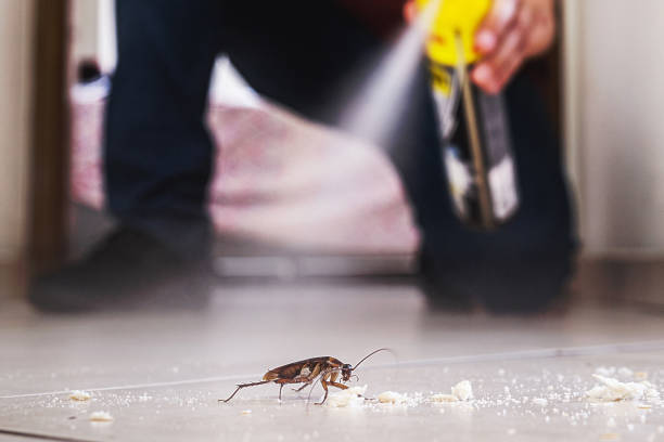 Best Emergency Pest Control  in Energy, IL