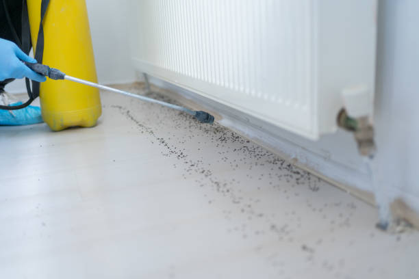 Best Best Pest Control Companies  in Energy, IL