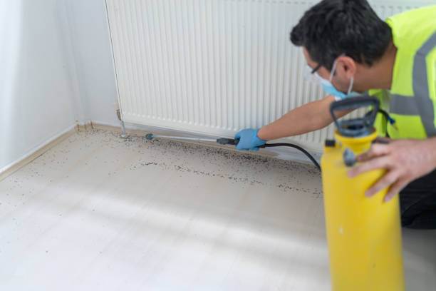 Best Bed Bug Extermination  in Energy, IL