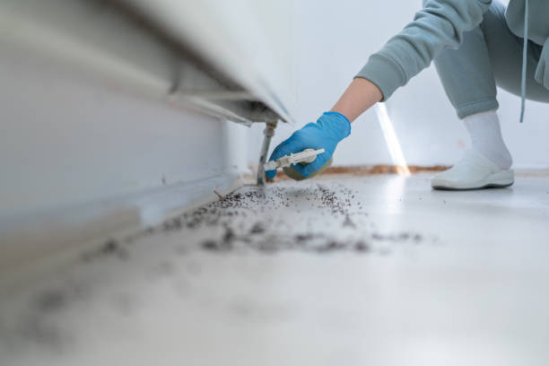 Best Pest Control Cost  in Energy, IL