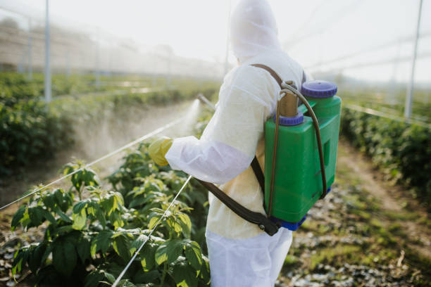Professional Pest Control in Energy, IL